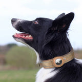 DogFinder - Le collier de chien anti-perte